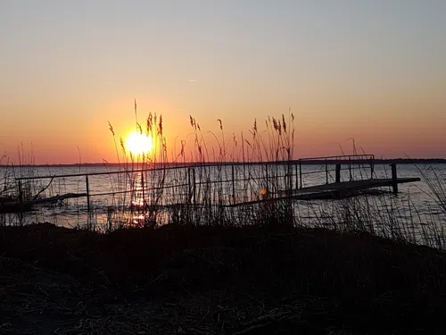 Sonnenuntergang &uuml;ber einem ruhigen Gew&auml;sser, in dem das Licht orange und pink reflektiert wird. Im Vordergrund sind schilfartige Pflanzen und Holzpf&auml;hle zu sehen.