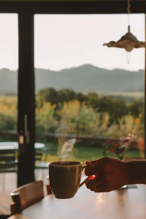 Eine Hand h&auml;lt eine dampfende Tasse Kaffee vor einem gro&szlig;en Fenster mit Blick auf sanfte H&uuml;gel und gr&uuml;ne Felder im Hintergrund. Das Licht der untergehenden Sonne sorgt f&uuml;r eine warme Atmosph&auml;re.