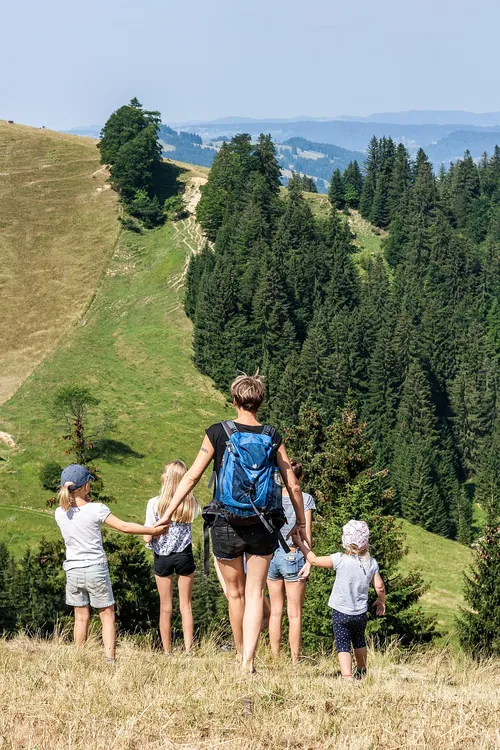 Eine Gruppe von f&uuml;nf Personen steht auf einem H&uuml;gel und schaut in die Ferne. Der Hintergrund zeigt gr&uuml;ne H&uuml;gel und W&auml;lder. Die Erwachsenen halten die H&auml;nde der Kinder.