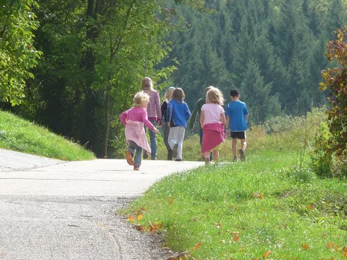 Sechs Kinder laufen auf einem schmalen Weg durch eine gr&uuml;ne Landschaft. B&auml;ume und Str&auml;ucher s&auml;umen den Weg, w&auml;hrend die Kinder in verschiedenen Kleidungsst&uuml;cken in Richtung Wald spazieren.