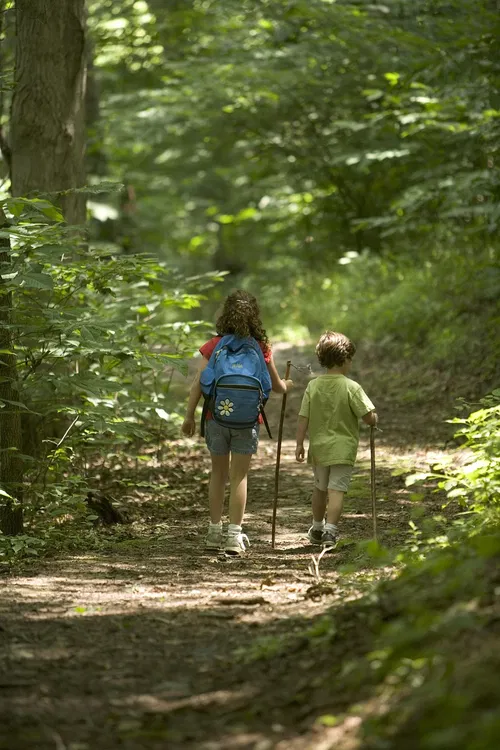 Zwei Kinder wandern einen schmalen Pfad durch einen Wald. Das M&auml;dchen tr&auml;gt einen blauen Rucksack, w&auml;hrend der Junge einen Stock in der Hand h&auml;lt. Um sie herum sind gr&uuml;ne B&auml;ume und dichtes Blattwerk.