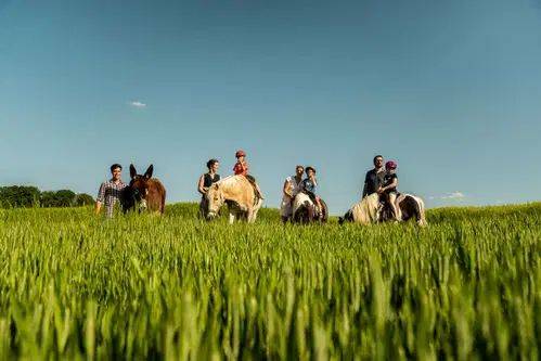 Eine Gruppe von sechs Erwachsenen und Kindern steht in einem hohen, gr&uuml;nen Feld mit zwei kleinen Ponys und einem gr&ouml;&szlig;eren Pferd. Die Sonne scheint, der Himmel ist blau mit wenigen Wolken. Alle l&auml;cheln und genie&szlig;en die Zeit drau&szlig;en in der Natur.