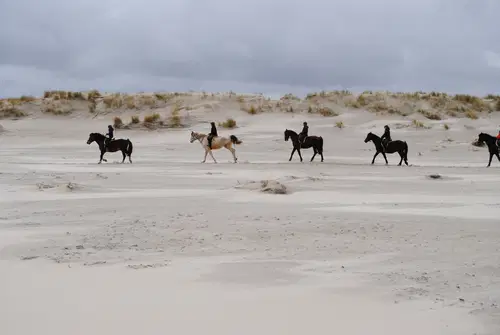 Urlaub auf dem Reiterhof an der Nordsee