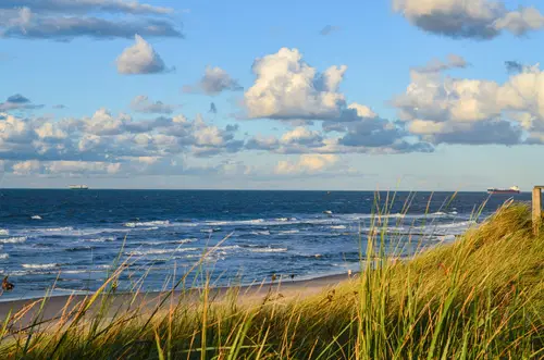 Bauernhofurlaub an der Nordsee