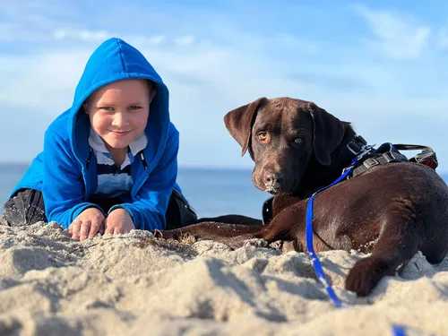 Hundeurlaub an der Ostsee