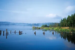 .