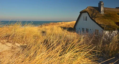 Ein Strandhaus mit reetgedecktem Dach steht inmitten hoher D&uuml;nen. Vor dem Haus erstrecken sich goldene Gr&auml;ser, w&auml;hrend der Ozean im Hintergrund sanft glitzert. Der Himmel ist klar und blau.
