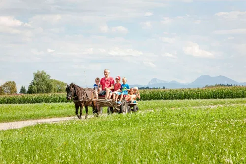 Eine Gruppe von Kindern sitzt auf einer Pferdekutsche, w&auml;hrend ein Erwachsener die Z&uuml;gel h&auml;lt. Sie fahren durch eine gr&uuml;ne Wiese mit Kornfeldern im Hintergrund und Bergen in der Ferne. Der Himmel ist blau mit einigen Wolken.