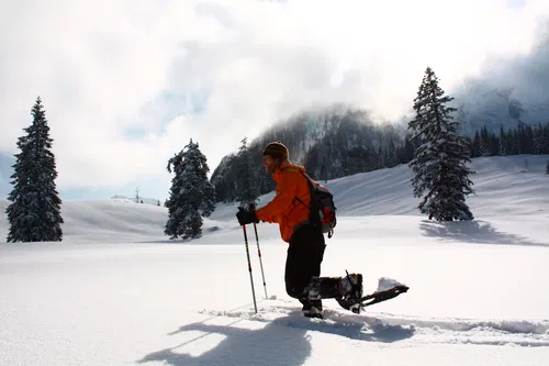 Eine Person in orangefarbener Jacke wandert mit Schneeschuhen durch eine verschneite Landschaft. Im Hintergrund sind verschneite B&auml;ume und Berggipfel zu sehen, umgeben von leicht bew&ouml;lkten Himmel.