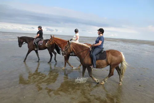 Drei Reiterinnen auf Pferden wandern durch seichtes Wasser am Strand. Der Himmel ist bew&ouml;lkt und es gibt refluxartiges Wasser, das den Sand glitzern l&auml;sst.
