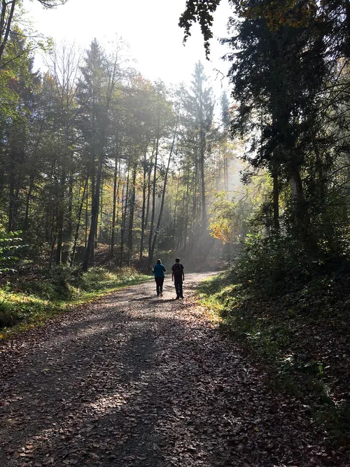 Zwei Personen spazieren auf einem schmalen Waldweg, umgeben von herbstlichen B&auml;umen. Lichtstrahlen durchdringen den Morgennebel und schaffen eine friedliche Atmosph&auml;re. Herbstbl&auml;tter bedecken den Boden.