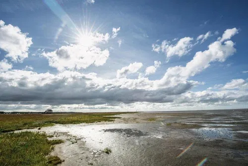Helle Himmelslandschaft mit Sonne, Wolken und einer weitl&auml;ufigen, flachen K&uuml;stenlandschaft. Der Boden ist dampfig und reflektiert das Licht. Gr&uuml;ne Wiesen grenzen an das Wasser.