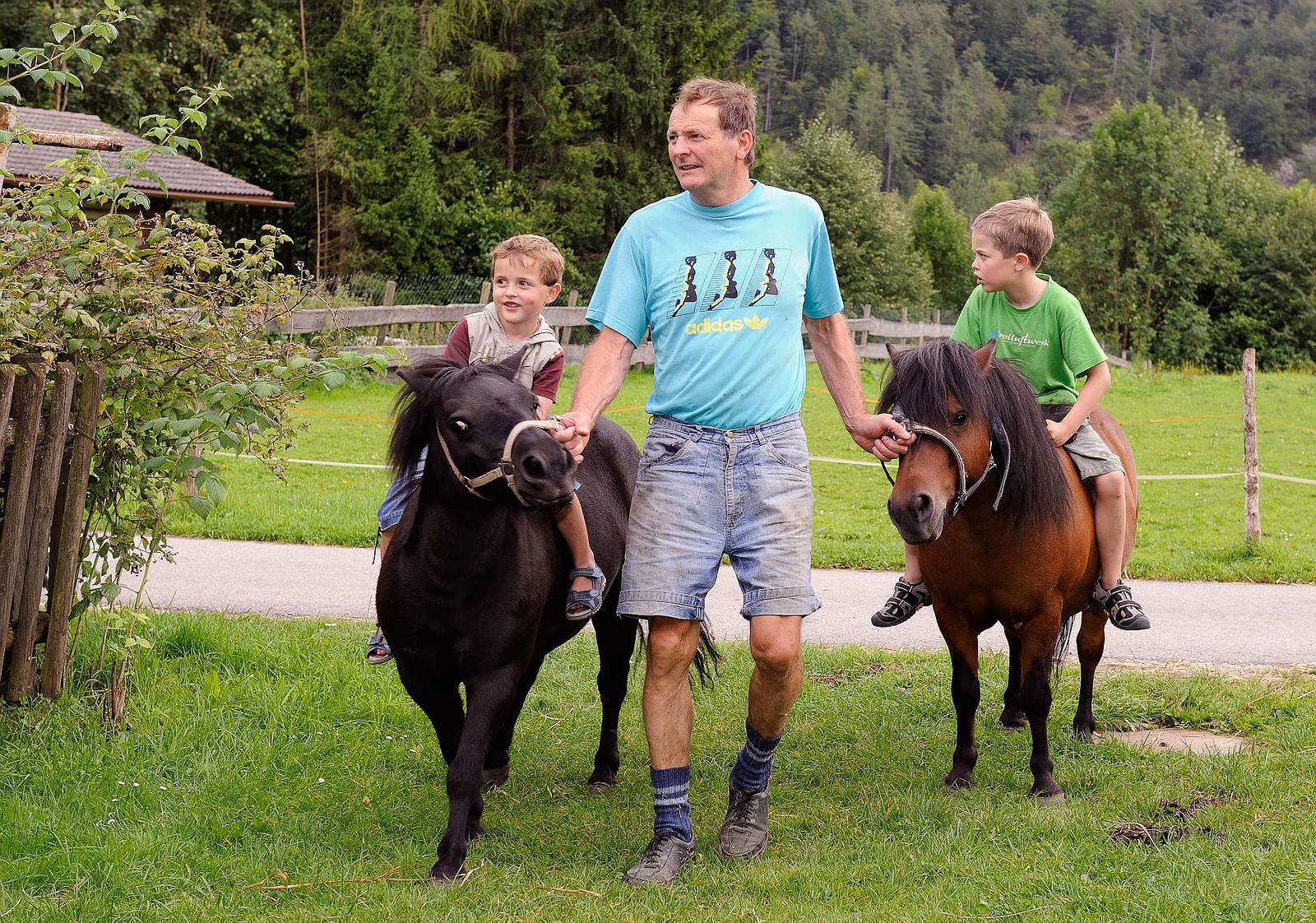 Andrebauernhof-Biohof