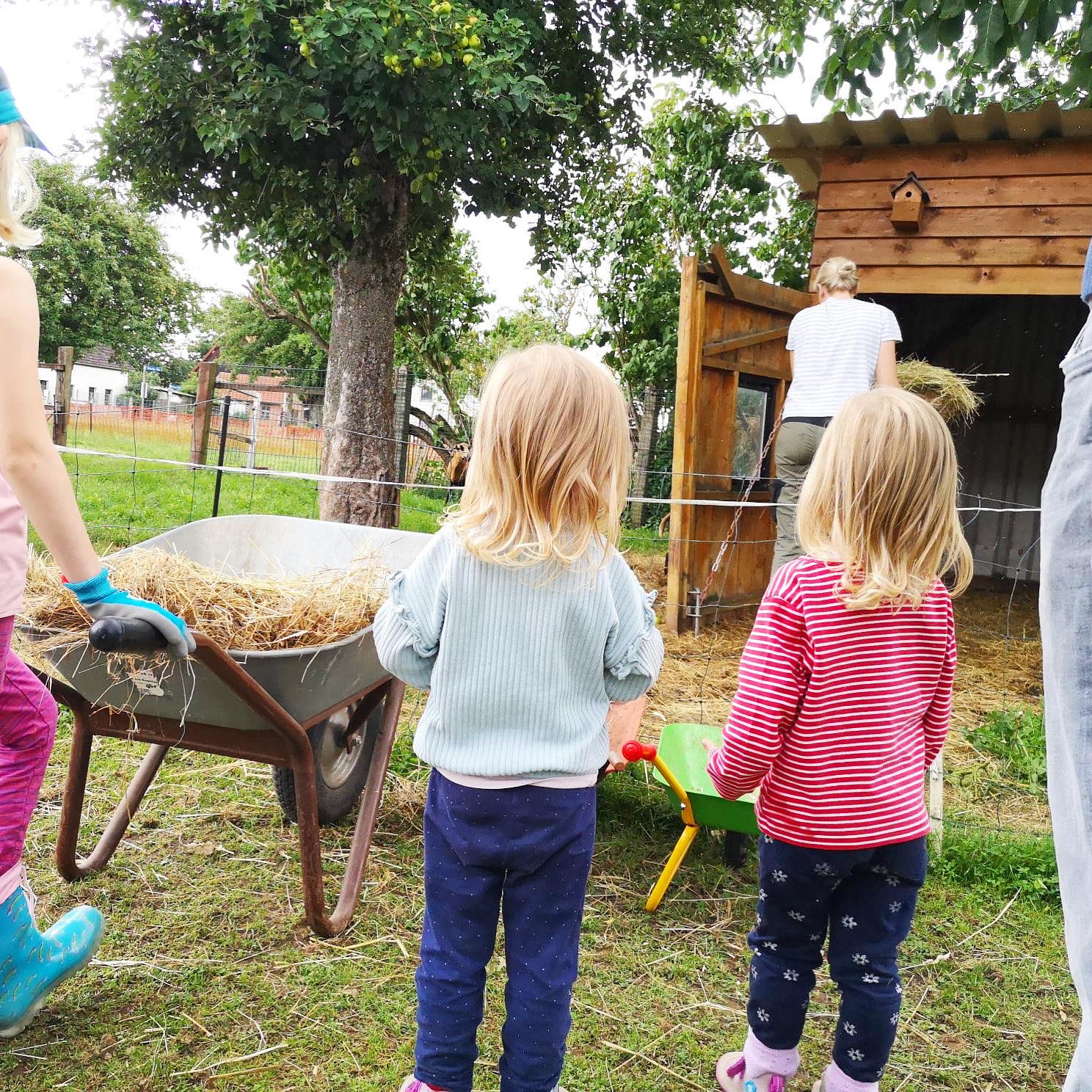 Ferienhof Ritter im Harz
