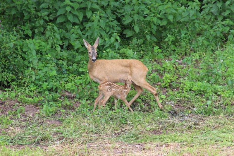 LandSelection Die Schenkenau