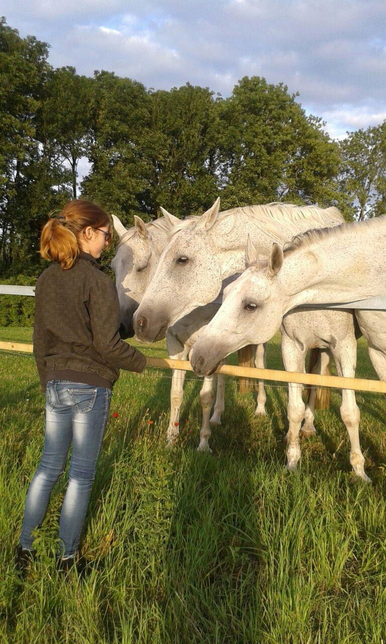 Ferien & Reiterhof Landgut Lischow