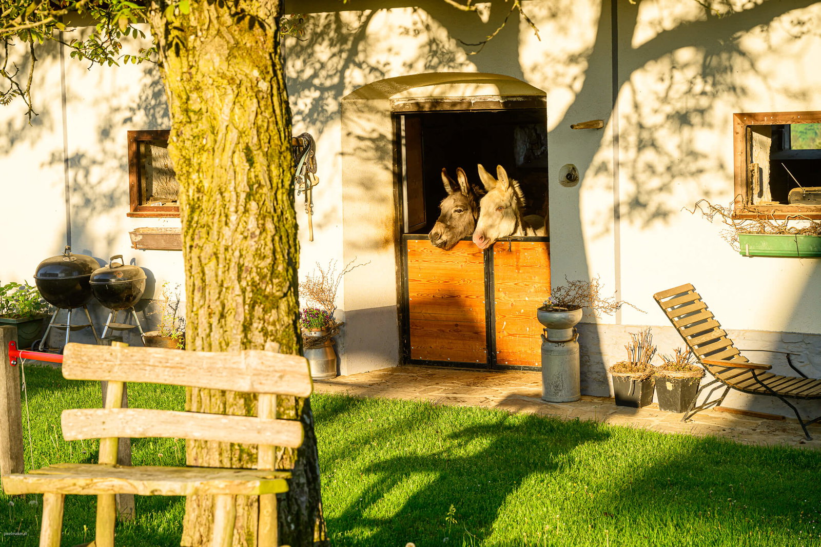 Der Ofenmacherhof  Urlaub am Bauernhof