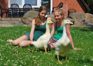 Feriendorf Weinberghof