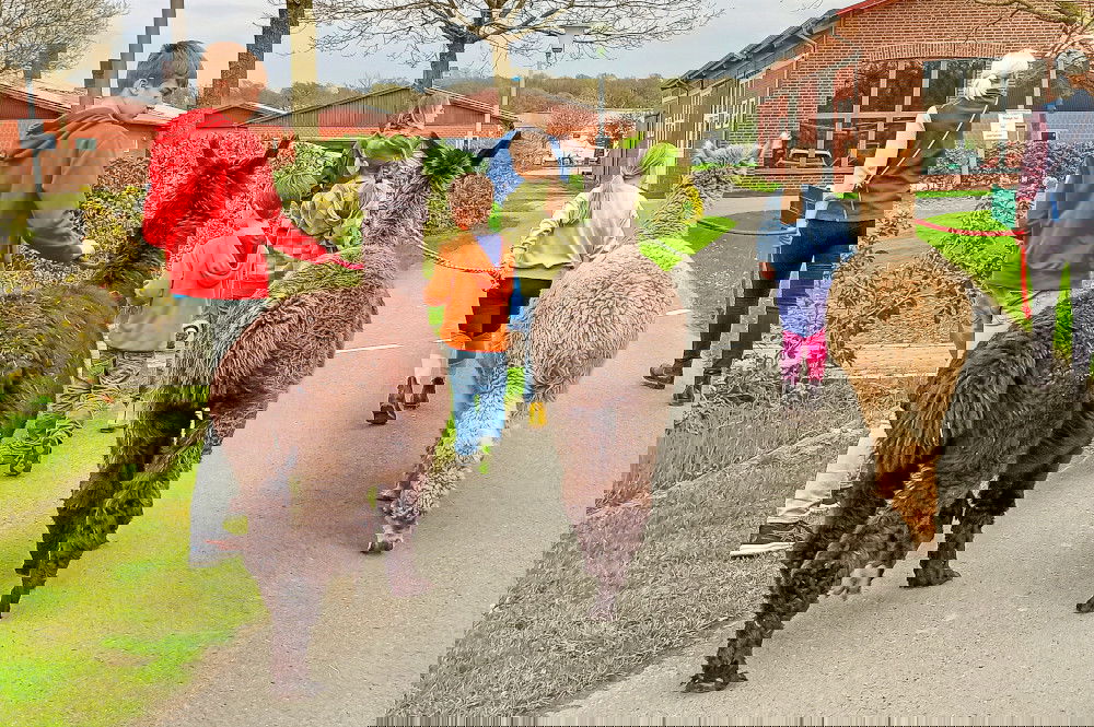 Ferienhof Winkelkötter