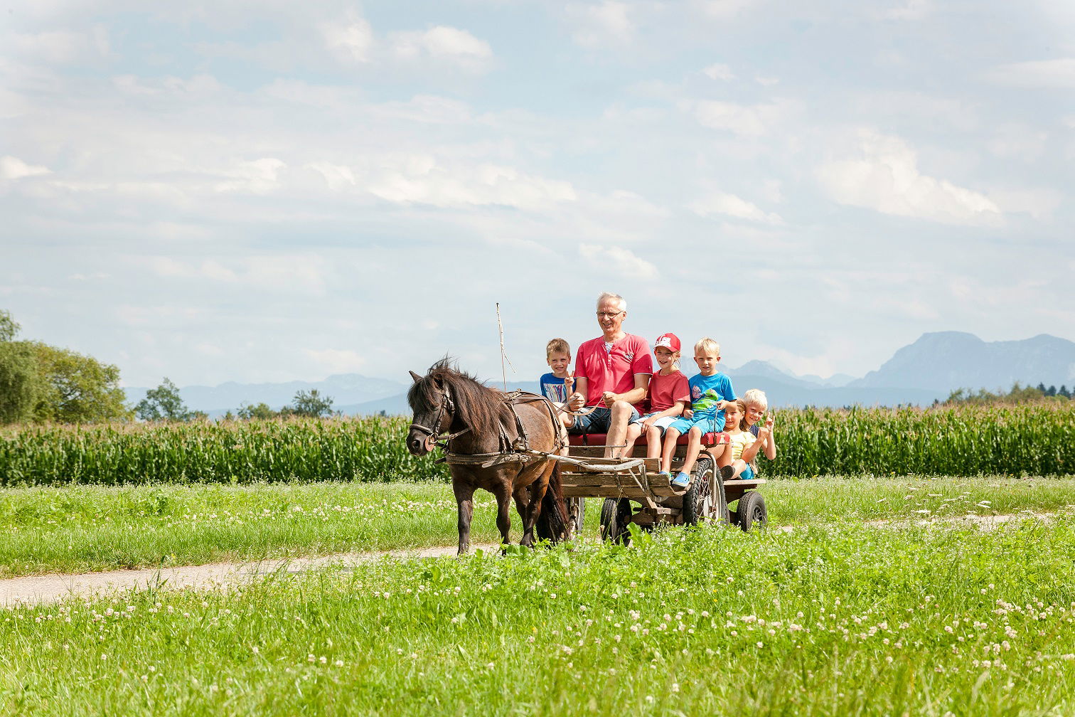 Esterer Hof  ***** - Deutschlands Beliebtester Ferienhof 2022