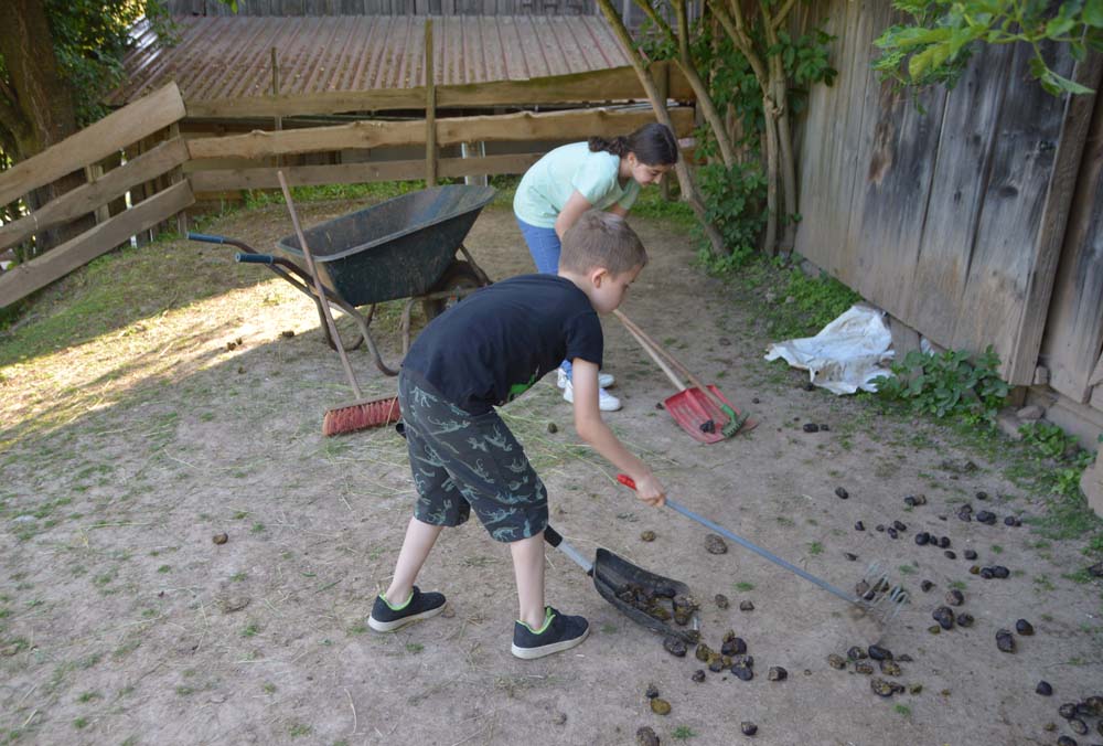 Ferienbauernhof Schmitt im Odenwald Natur und Wellnessurlaub