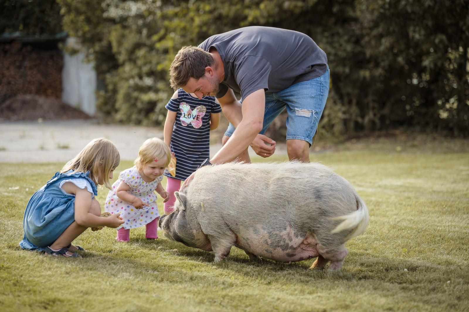 Ferienhof Dirnberger - Urlaub am Regen