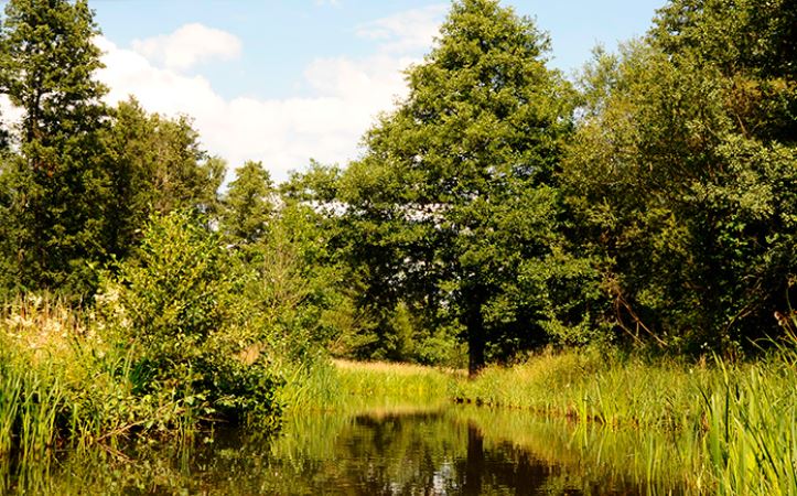 Pension & Wellness am Storchennest