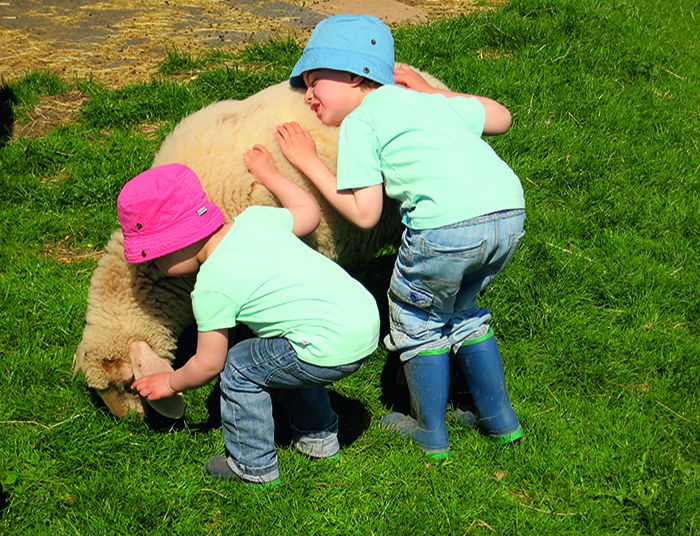 Steigerwaldhof Krafft