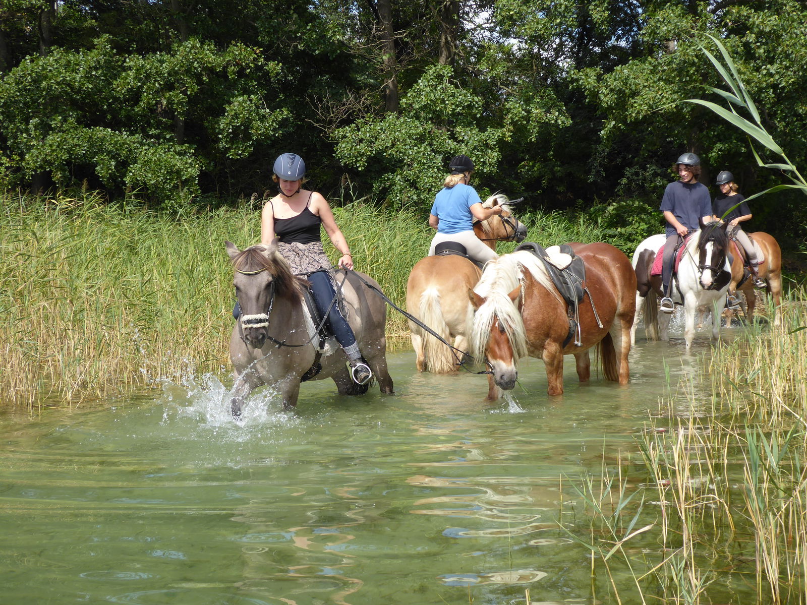 Landhaus Parsteinsee