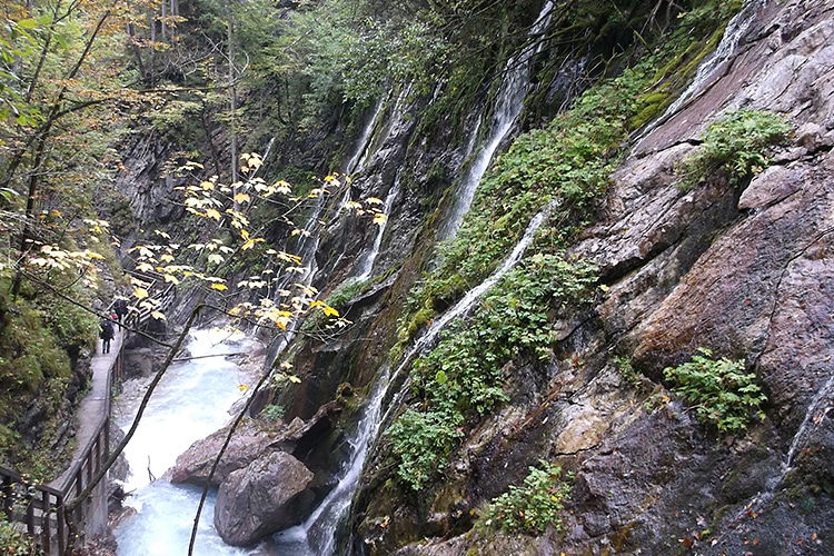 Ferienwohnungen Kressenlehen