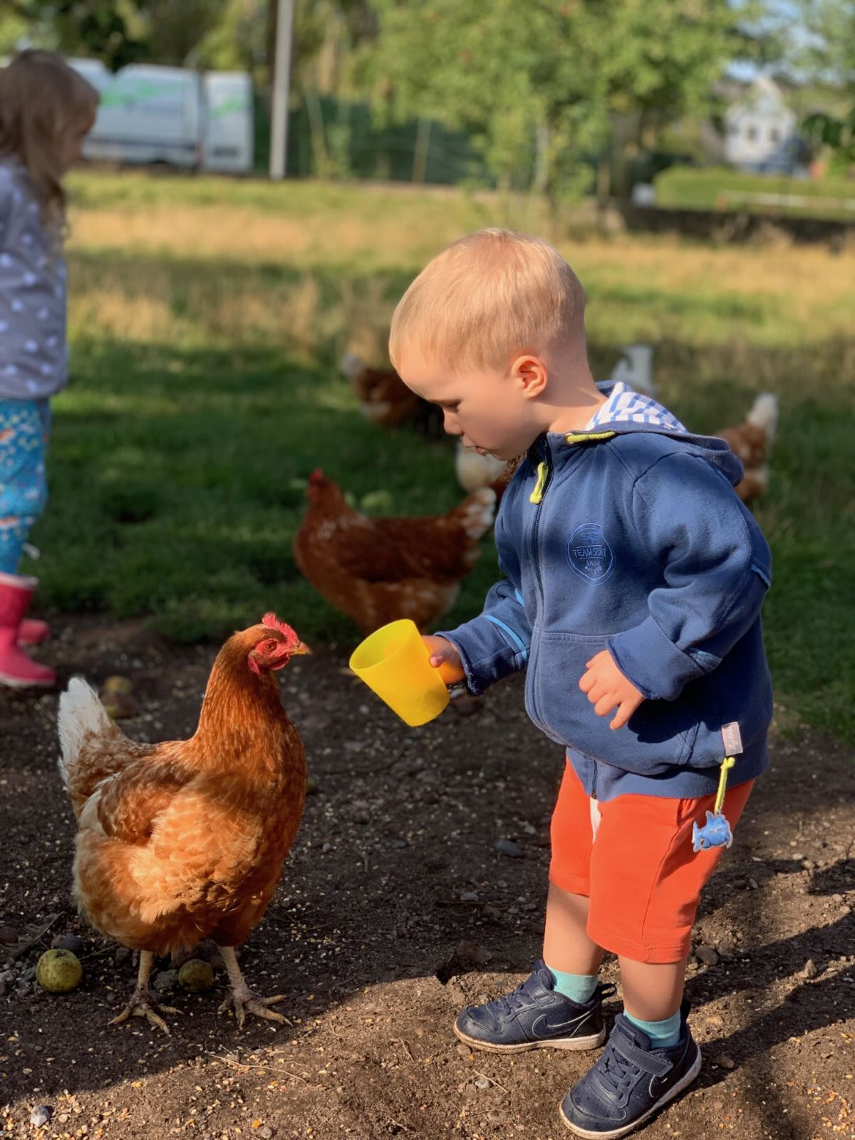 Luftsnapper & Fellnasen