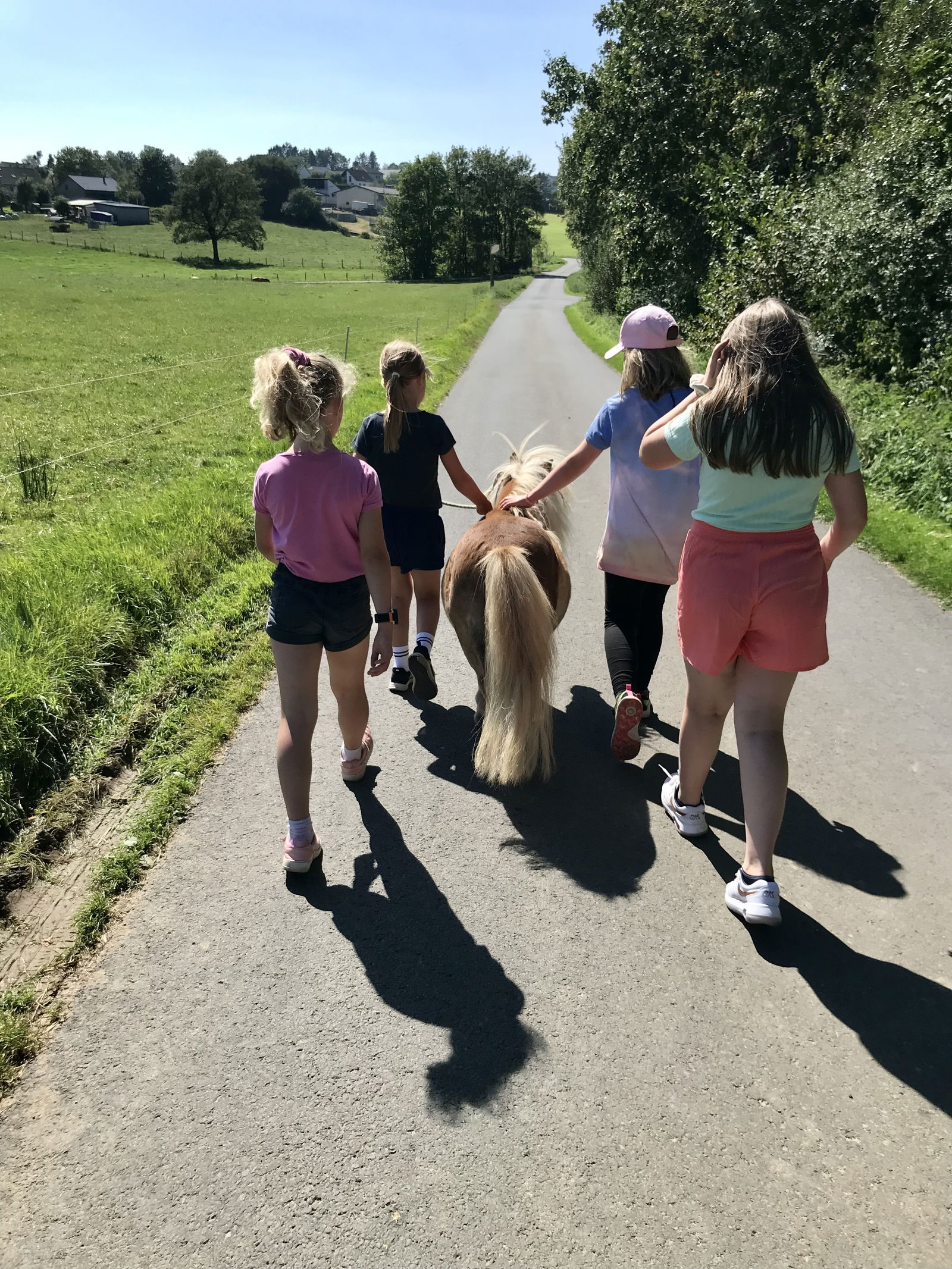 Görgenhof - Gnadenhof für Bauernhoftiere