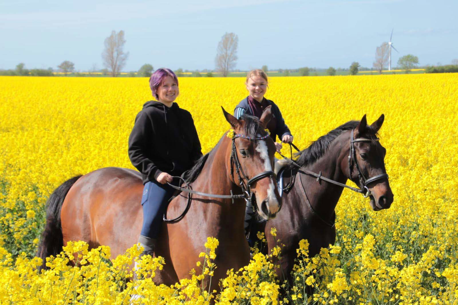 Wilder ´s Inselhof  Fehmarn, Reimer & Antje Wilder