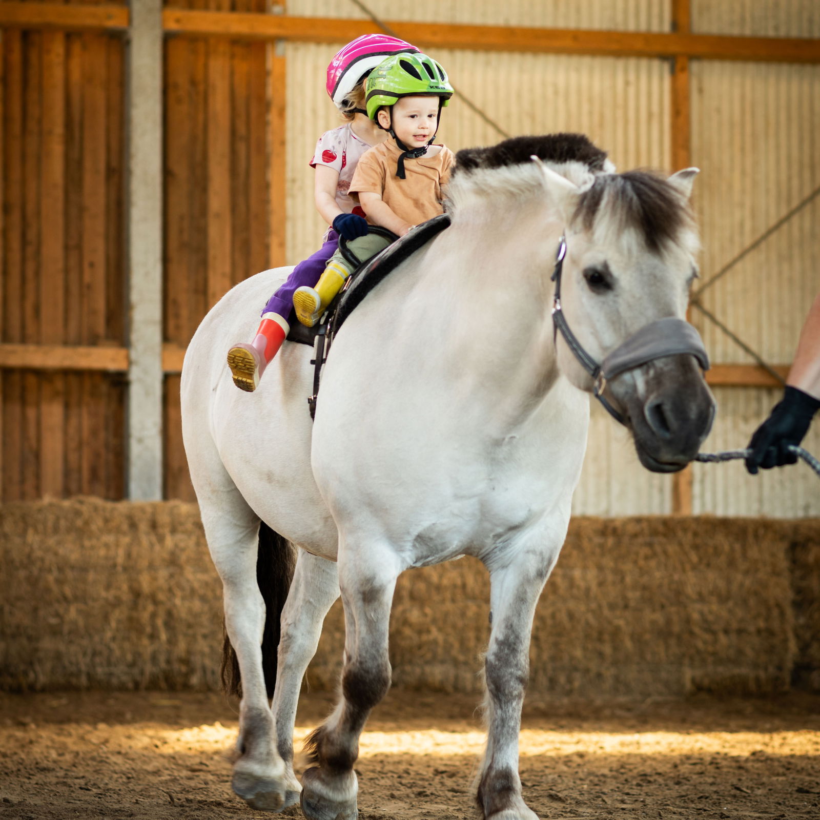 Küselhof und Reiterhof Witt