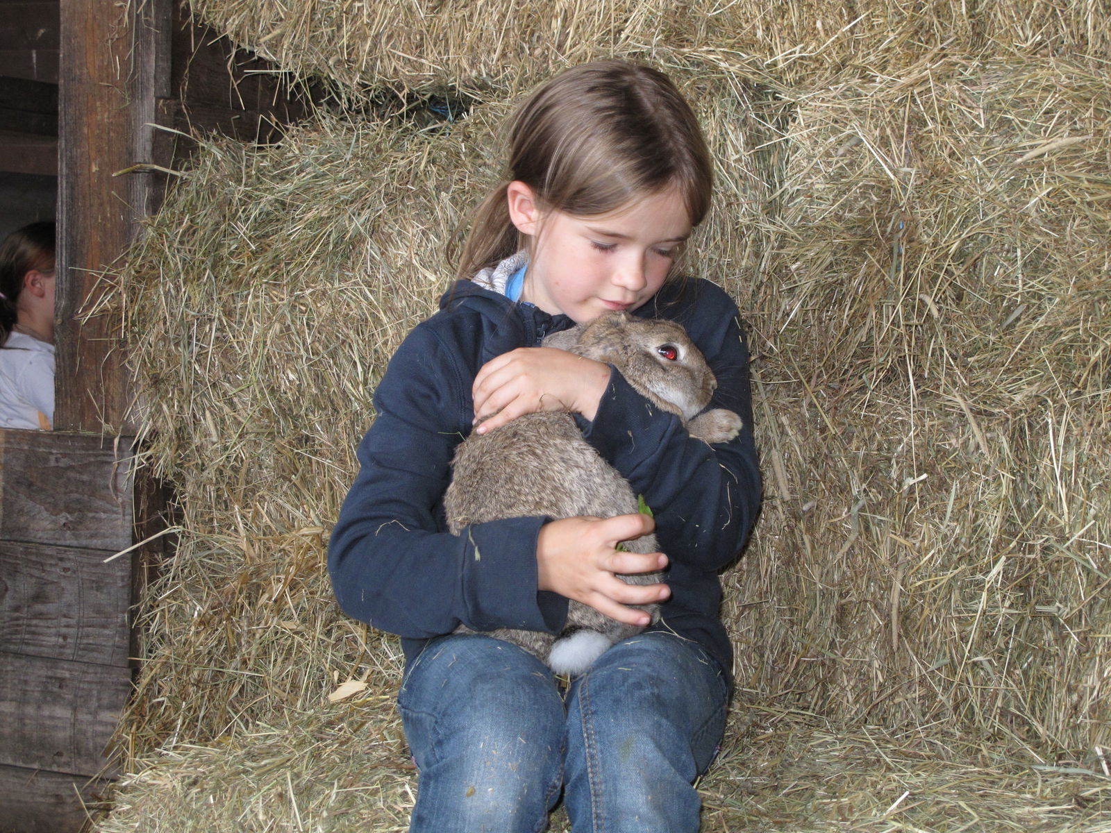 Ferienhof Westermann