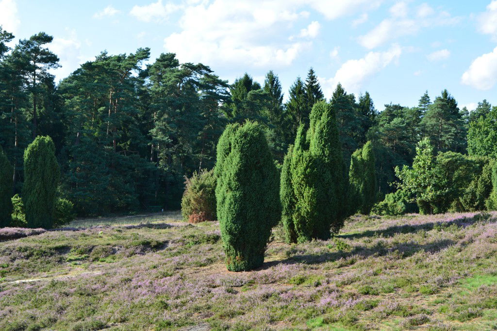 Ferienanlage Böttcher Hof