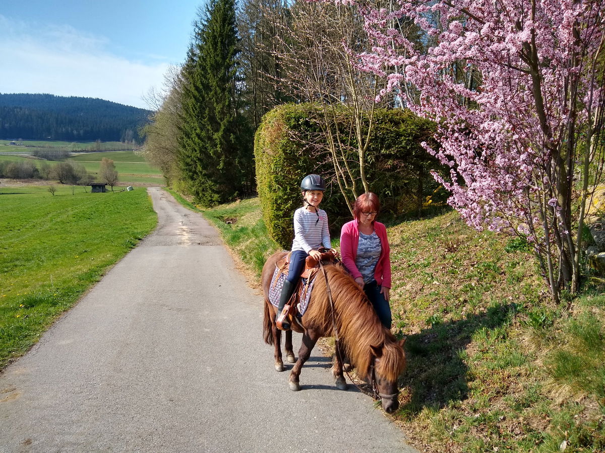 Familienferienhof Kroner