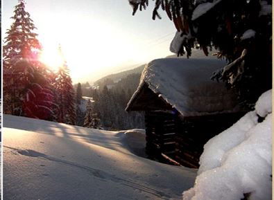Landhaus Alt mit  Bauernhof* Gesundes Wohnen In Freier Natur* Tolle-WINTER-Angebote*
