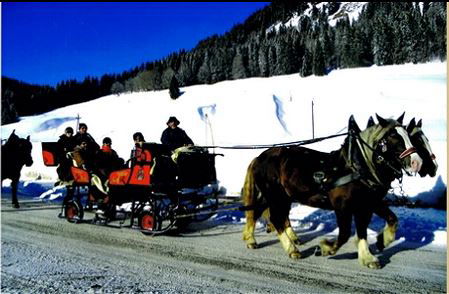 Landhaus Alt mit  Bauernhof* Gesundes Wohnen In Freier Natur* Tolle-WINTER-Angebote*