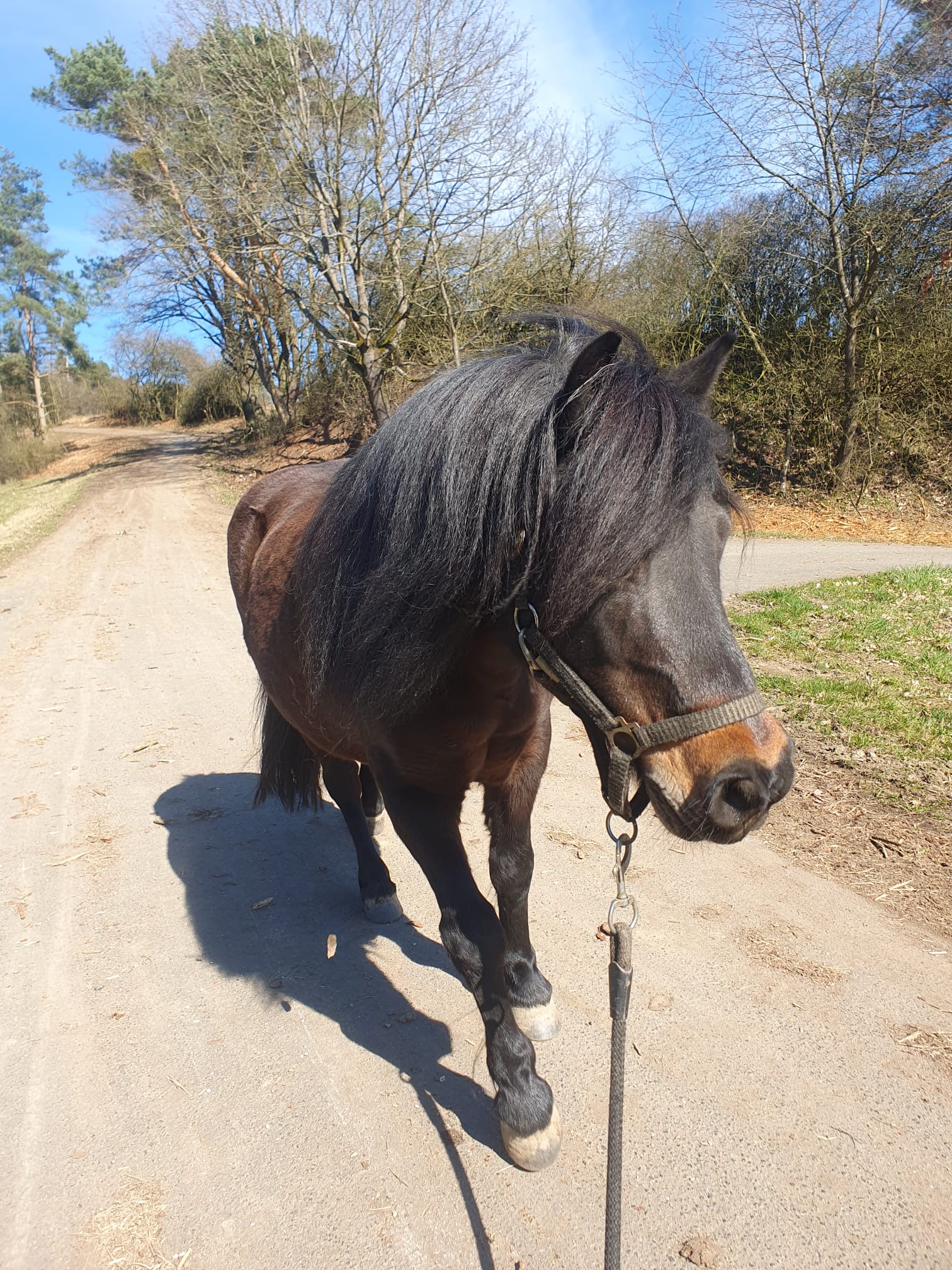 Biobauernhof Peter Anderl Hof