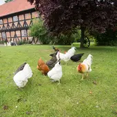 LandSelection Gut Gaarz