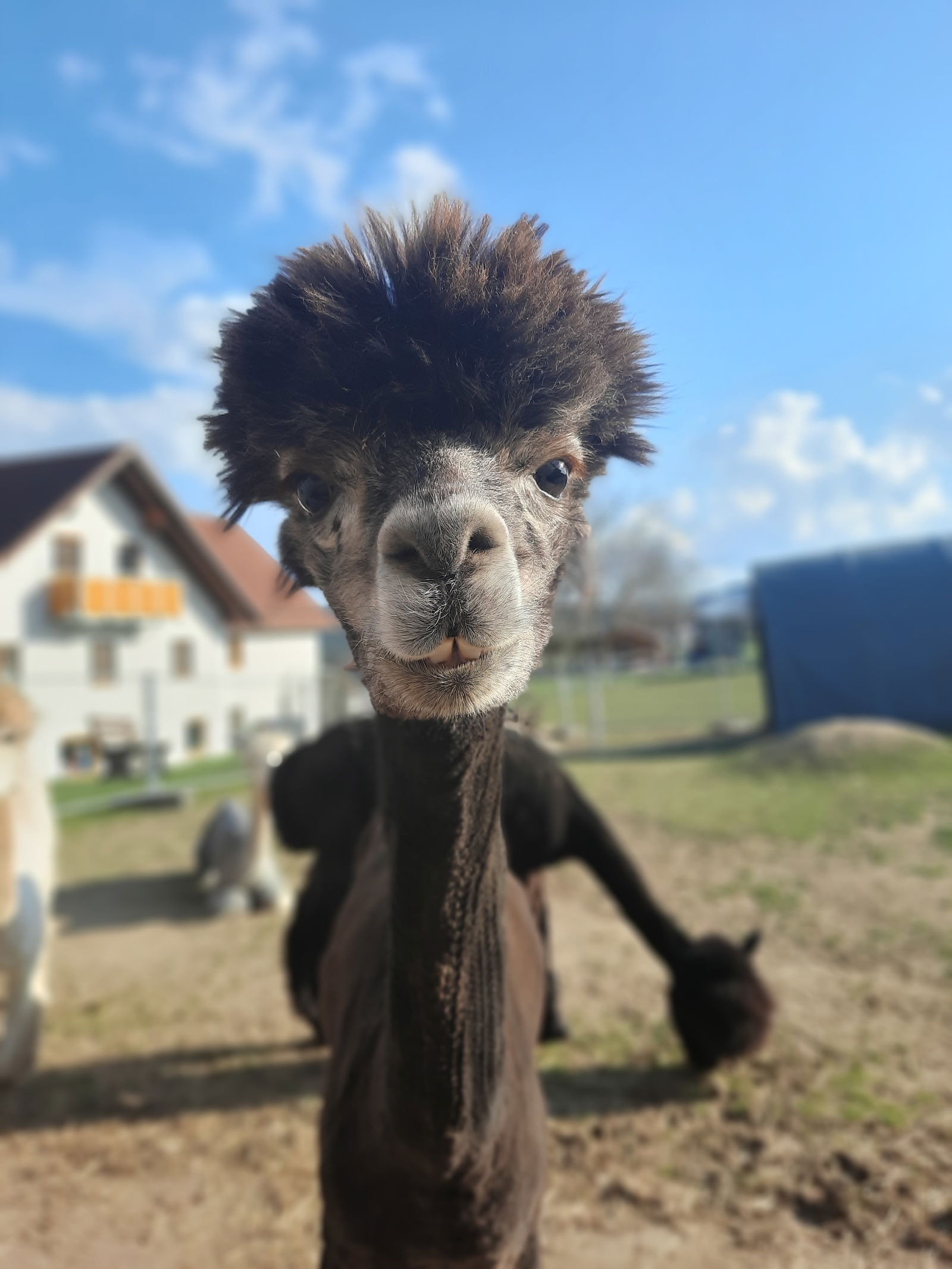 Simmernhof - Familienurlaub auf dem Bauernhof