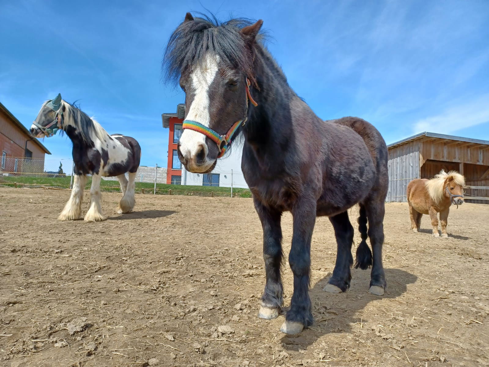 Simmernhof - Familienurlaub auf dem Bauernhof
