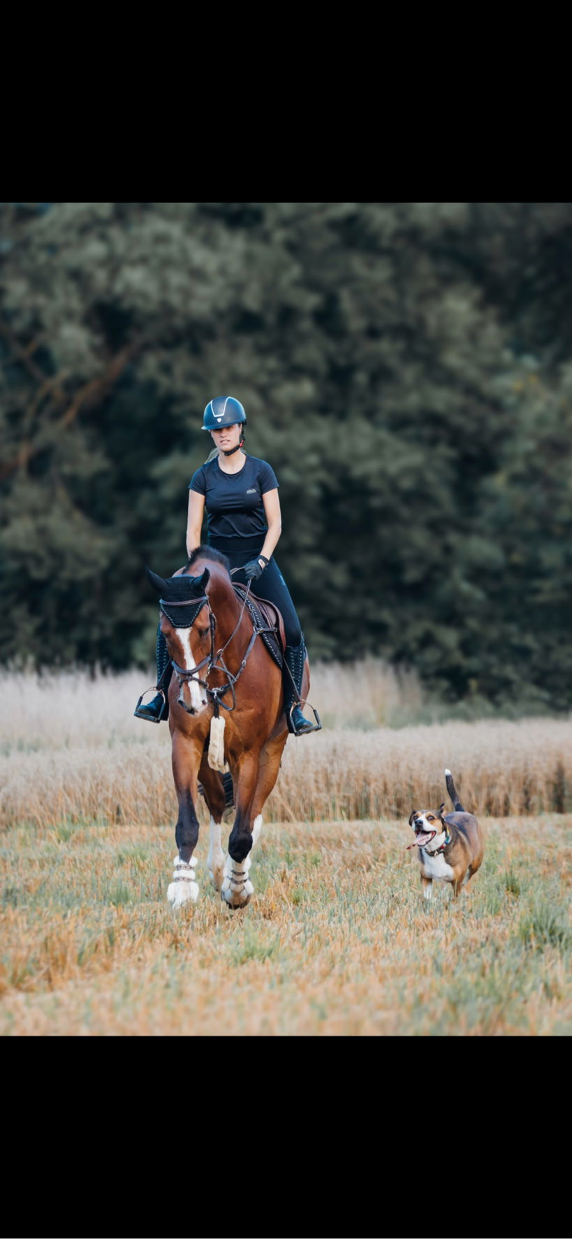 Reiter- und Ferienhof Redder