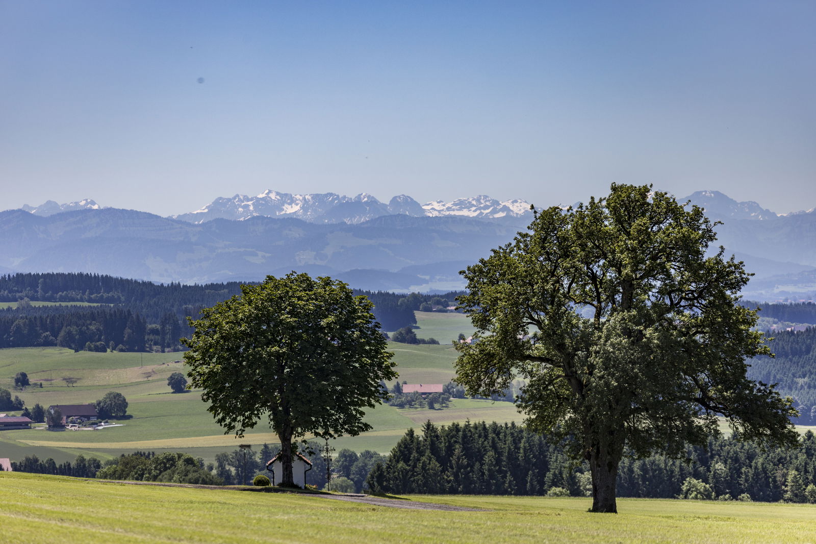 Allgäu Bergferienhof