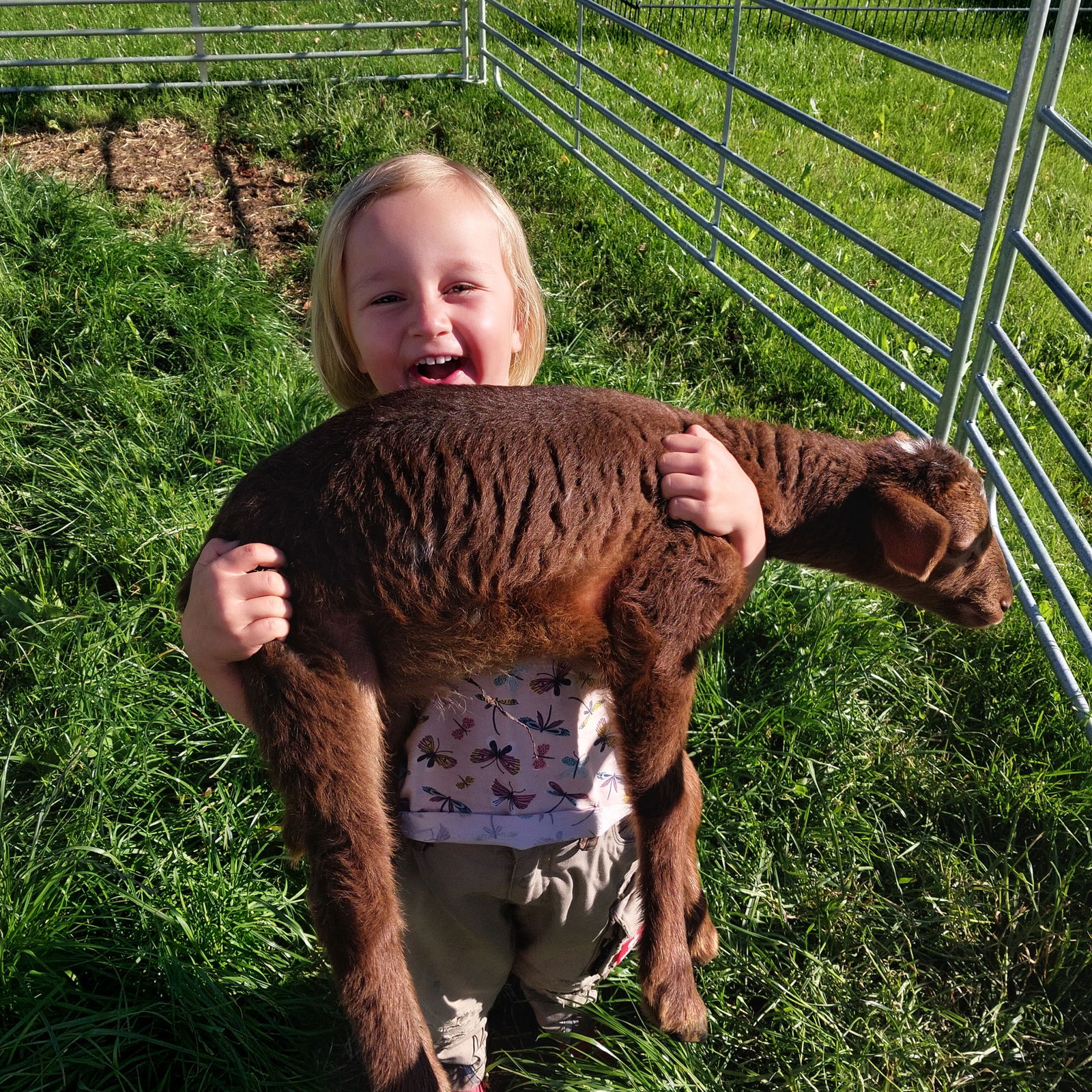 Allgäu Bergferienhof