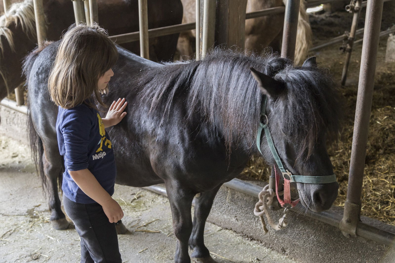 Allgäu Bergferienhof