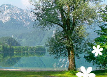 Jodlhof Kochel am See