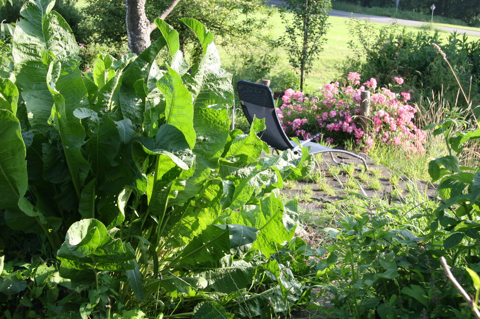 Ferienwohnungen Beim Danner