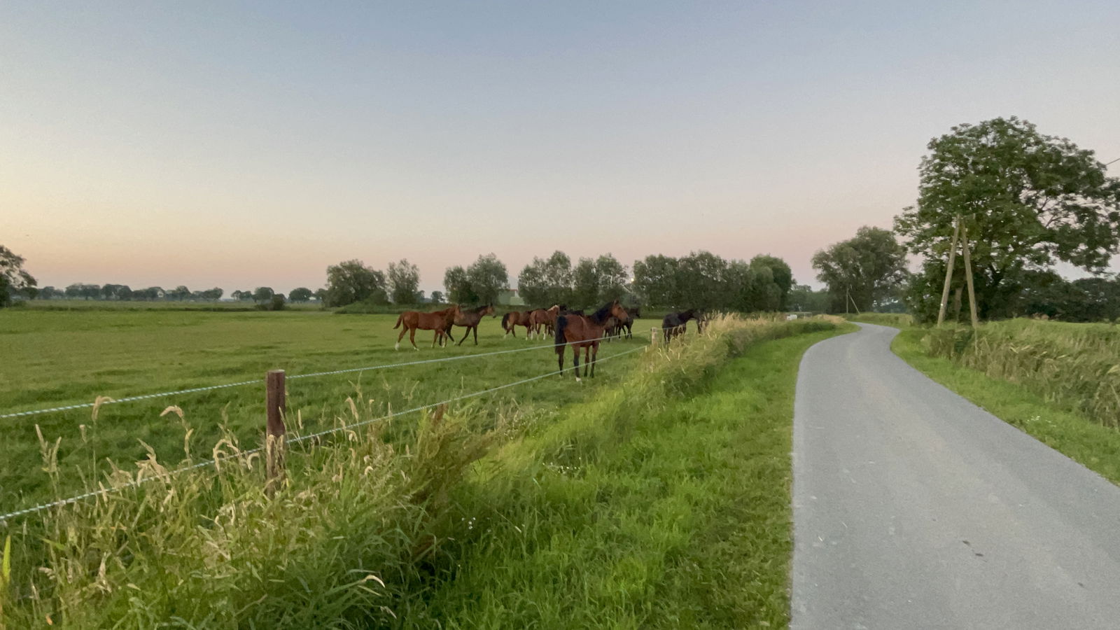 Kleyhauers Ferienbauernhof